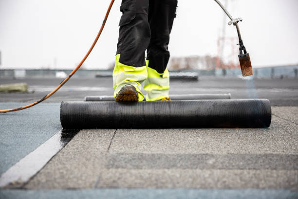 Best Roof Moss and Algae Removal  in Mount Airy, MD